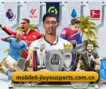 平台优化